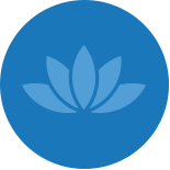 Health and Wellness Icon Graphic