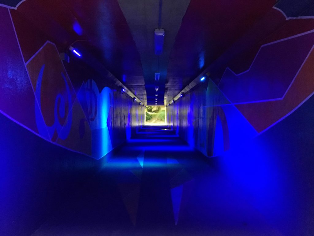 Johns Creek Tunnel - Blue Lights