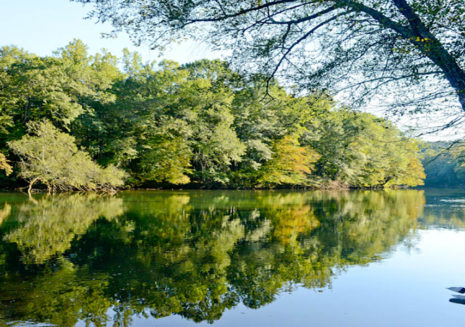 Chattahoochee River